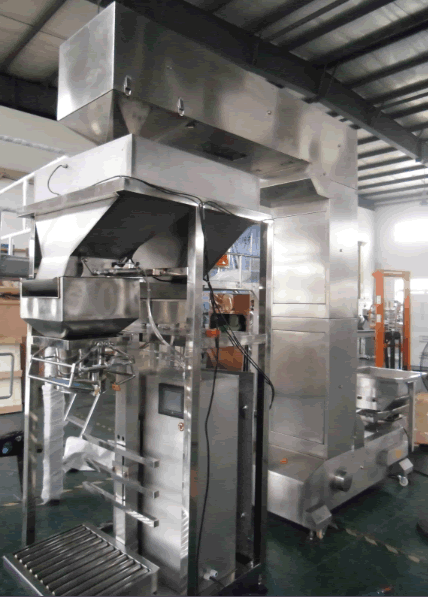 Semi Automatic Big Bag Powder Filling Machine (XFF-D)