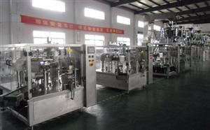 Pre-made Pouch Filling and Sealing Machine (XFG-200)