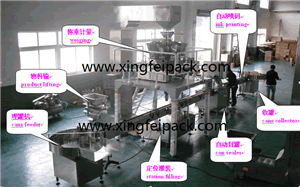 Automatic Granule Filling and Packing Line