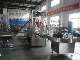 Coco Powder Filling and Packing Machine